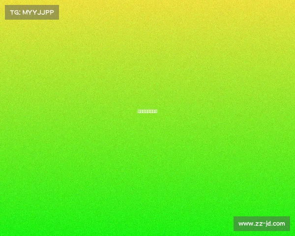 帕拉梅拉比赛视频